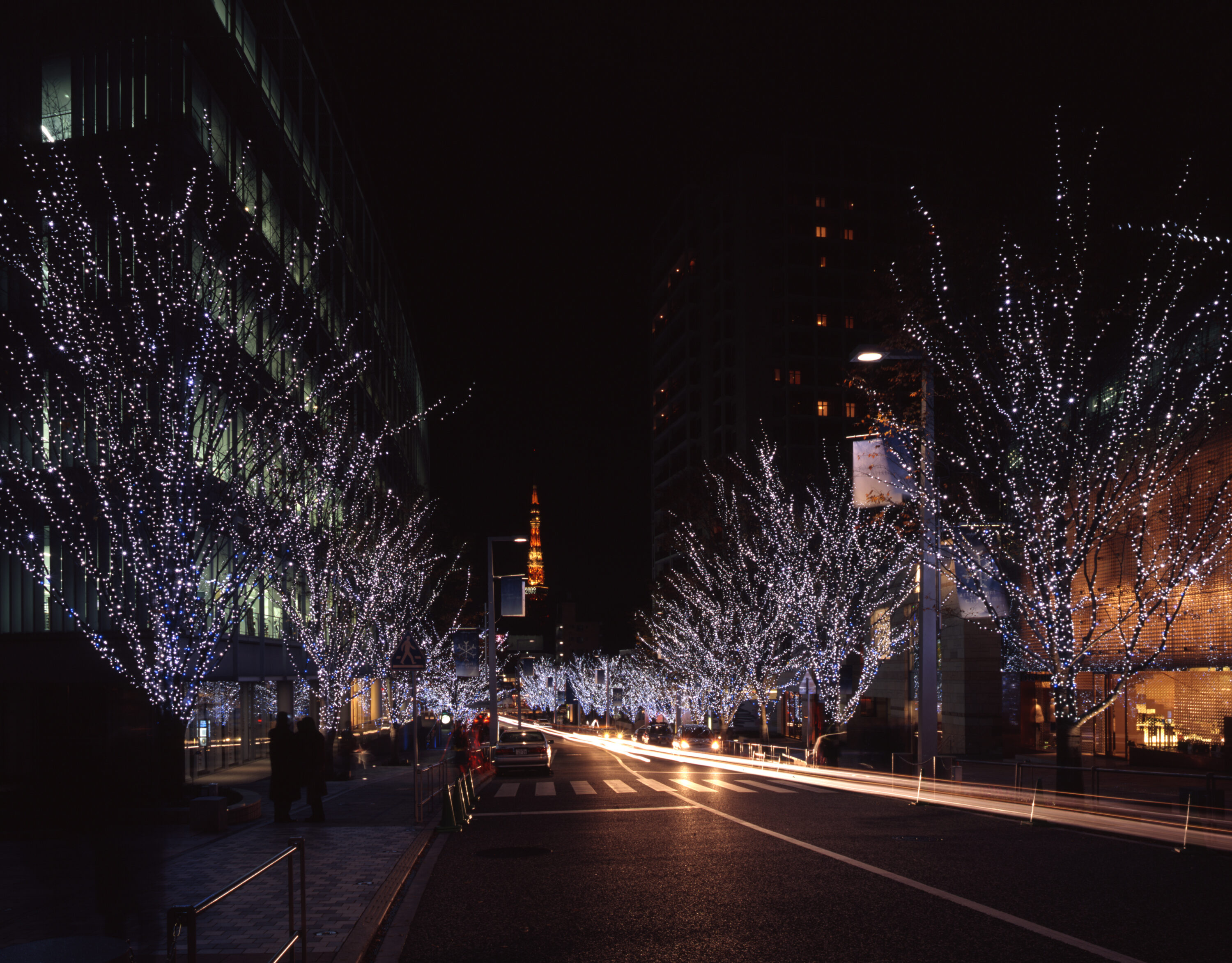 六本木ヒルズ　けやき坂クリスマスイルミネーション Snow & Blue 2003